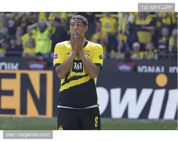 特写：一家位于慕尼黑的科技初创公司如何为德甲提供AI比赛分析数据服务